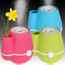 Ultrasonic Essential Oil Air Humidifier